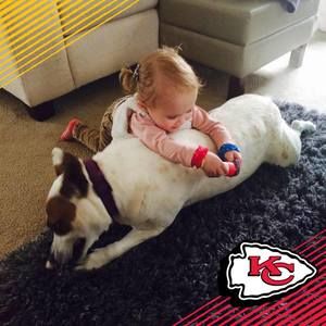 Meet your Posher, Lance